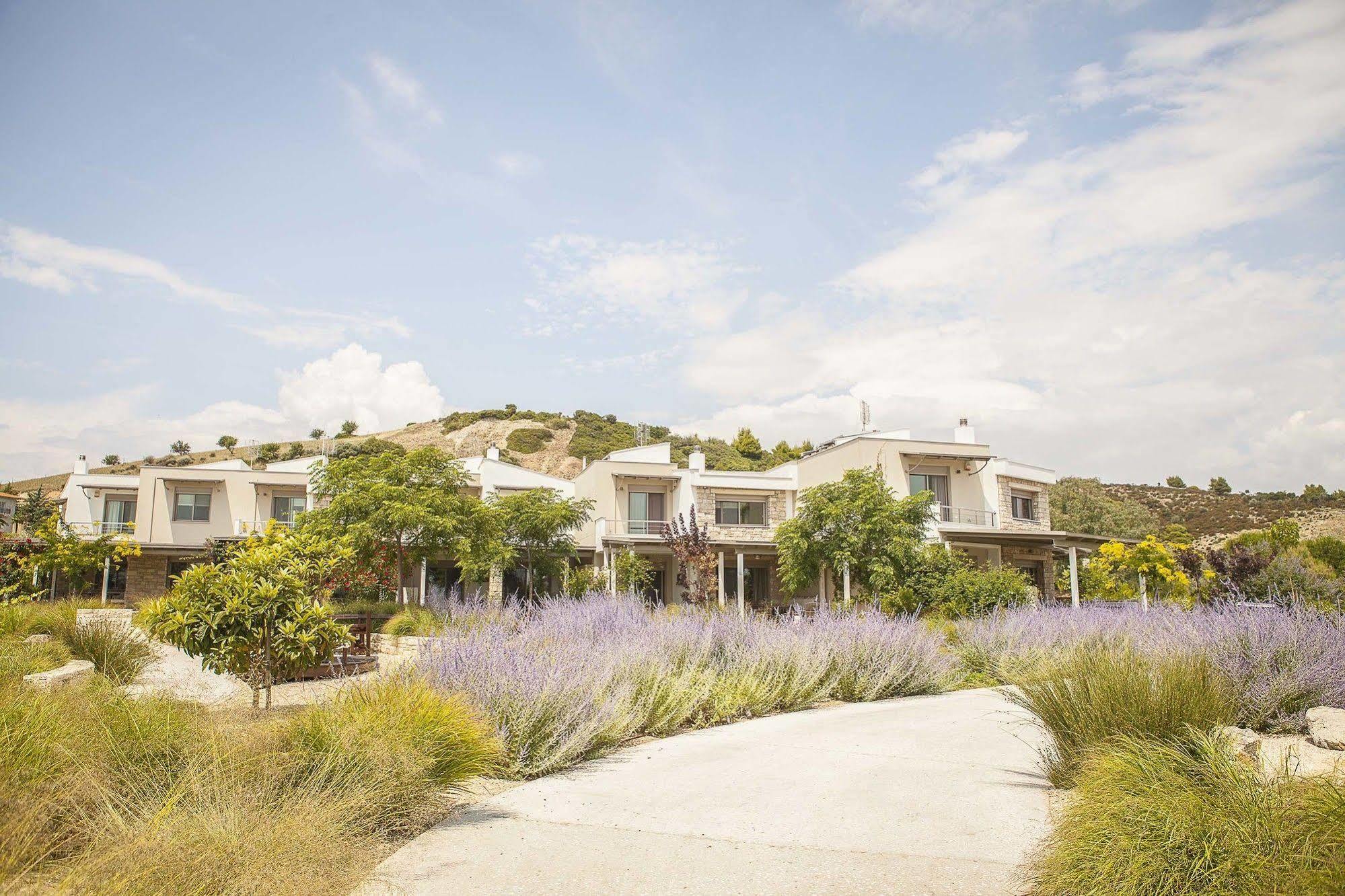 Ammouda Villas 哈爾基季基州 外观 照片